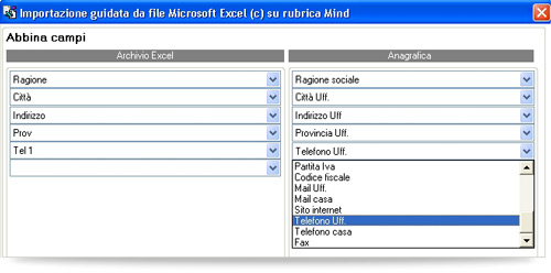 Sincronizzazione-excel-mind